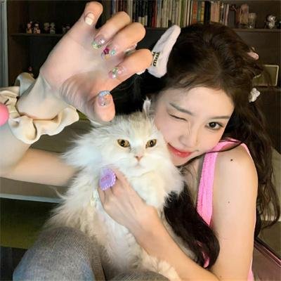 神犬小七第一季