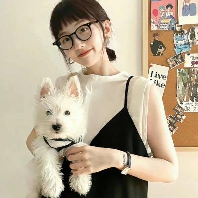 秀才爱上兵国语